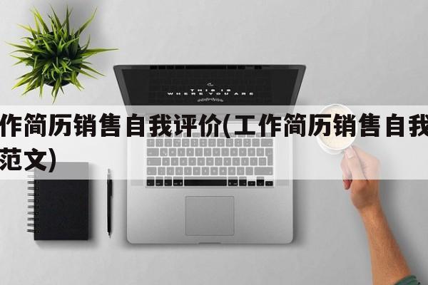 工作简历销售自我评价(工作简历销售自我评价范文)